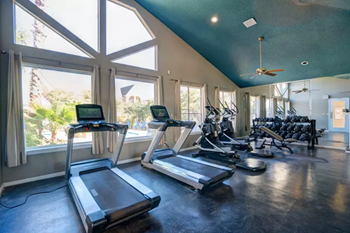 1773 Wells Branch Pkwy 1-2 Beds Apartment for Rent - Photo Gallery 3