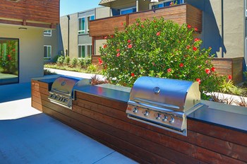 BBQ area  l Fremont Ca Apartments for rent - Photo Gallery 19