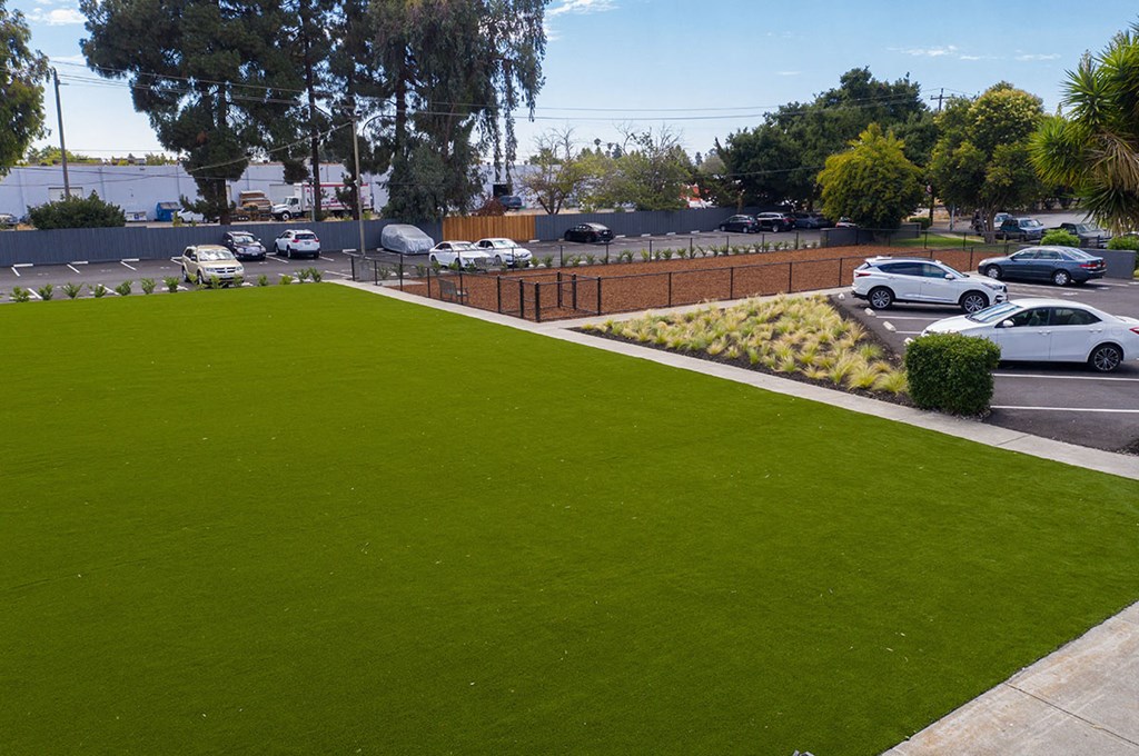 Dog Park and Lawn l Fremont Ca Apartments for rent