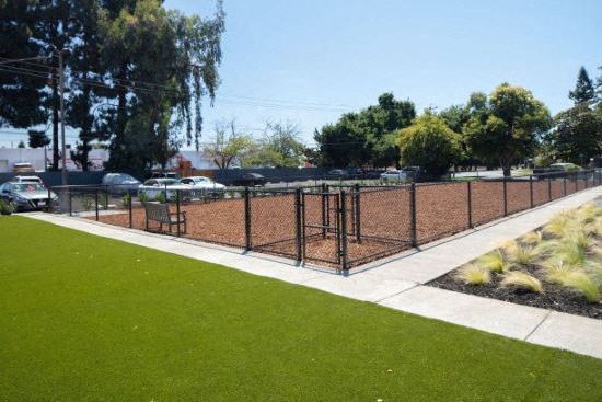 Dog Park l Fremont Ca Apartments for rent