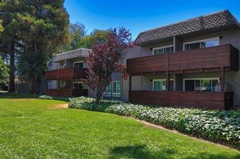 Exterior building and landscape l Fremont Ca Apartments for rent - Photo Gallery 31