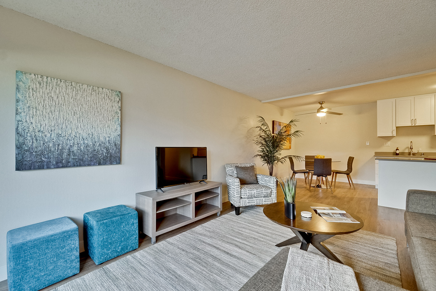 Apartments for Rent in Fremont-Metro Fremont Apartments Living Room With Modern Furnishings And Large Rug