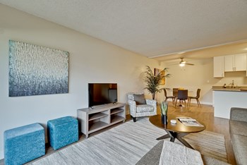 Apartments for Rent in Fremont-Metro Fremont Apartments Living Room With Modern Furnishings And Large Rug - Photo Gallery 3