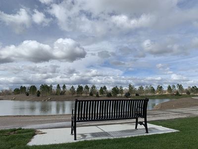 Park Bench with Lake View