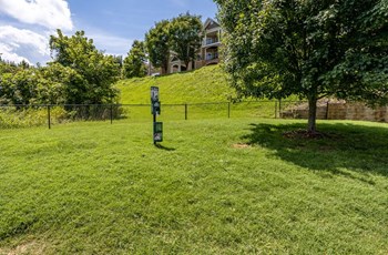 2901 Legacy Pointe Way 1-3 Beds Apartment for Rent - Photo Gallery 3