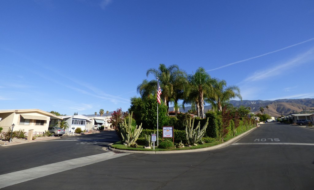 a street with houses and palm trees and an flag