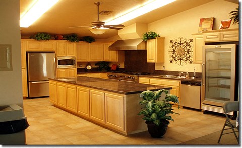 a large kitchen with stainless steel appliances and a potted plant