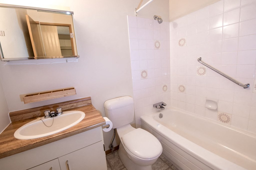 a bathroom with a sink toilet and a bath tub