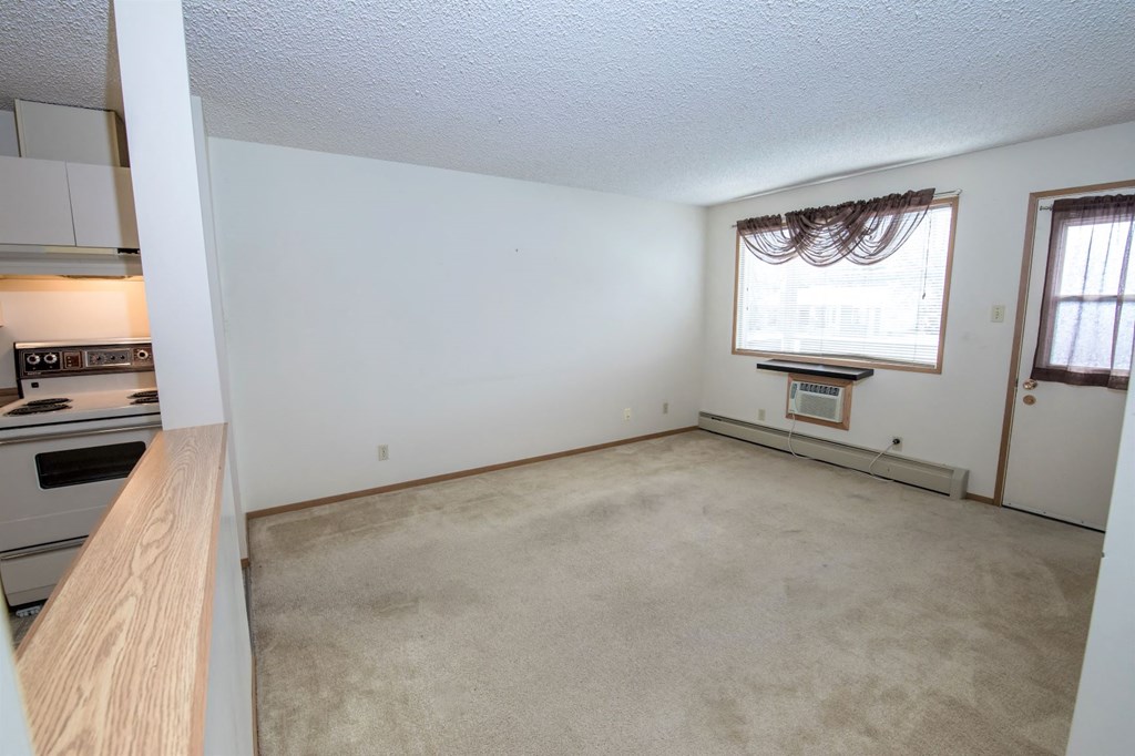 an empty living room with a stove and a window