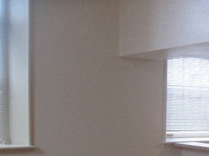 30 N Elm St 1-3 Beds Apartment, Student for Rent - Photo Gallery 2