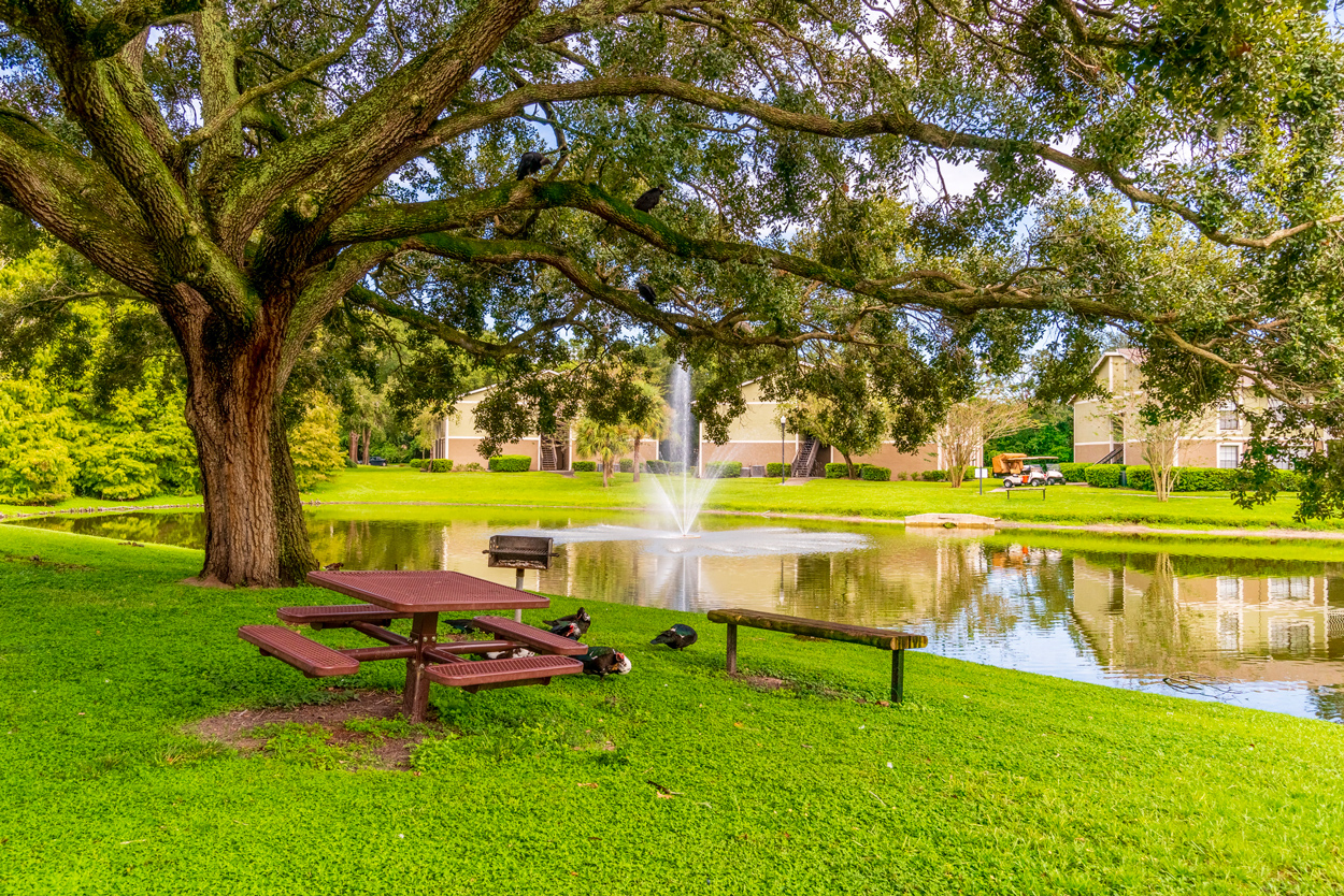 Picnic Area at Laurel Oaks Apartments in Tampa, FL