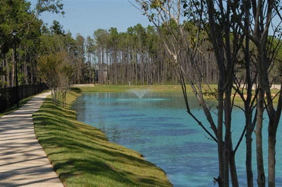 a path next to a body of water with trees