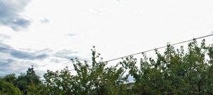 Centennial Apartments 506 West Centennial Blvd Springfield Or Rentcafe