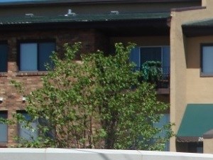 Front entry at Equinox Apartments