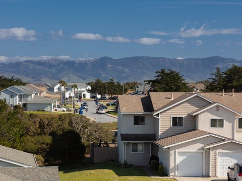 homes on a street