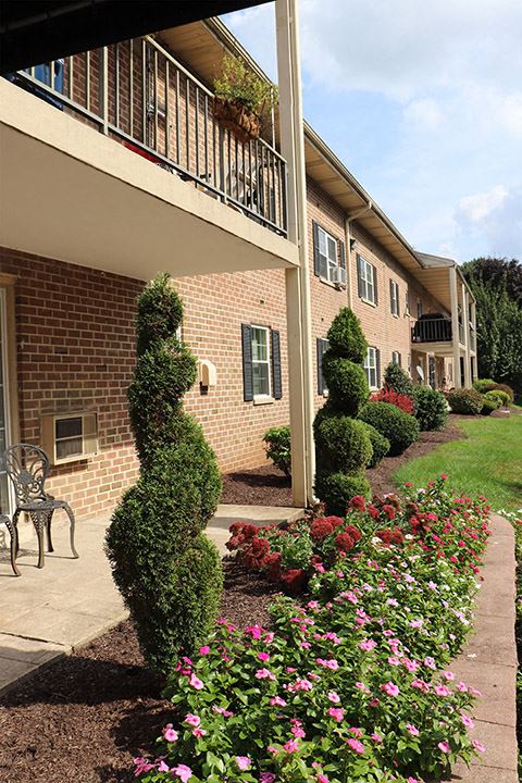 a yard with flowers and bushes in front of a building