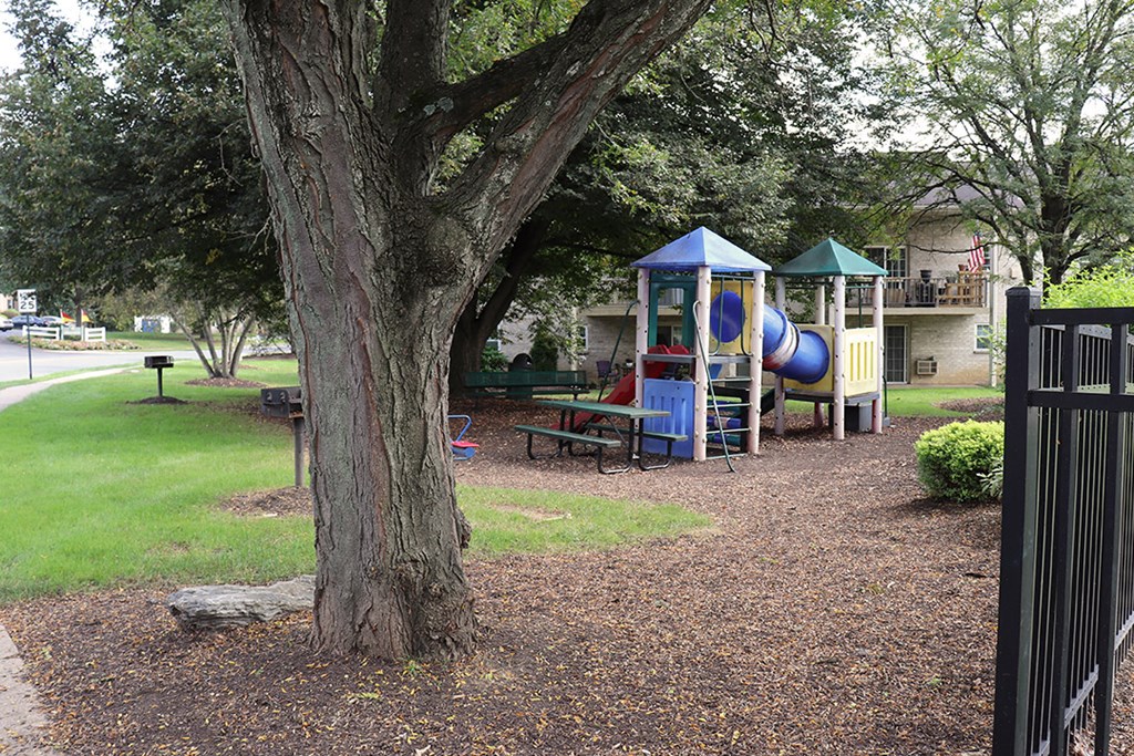 a childrens park with a playground and a tree