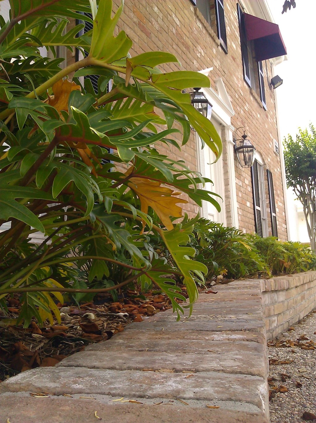 a sidewalk in front of a brick house with green plants