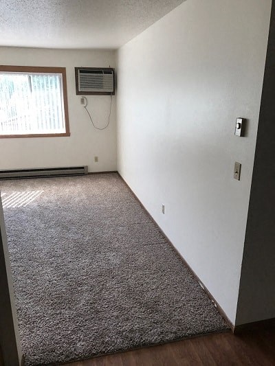 A room with a carpet and a window.