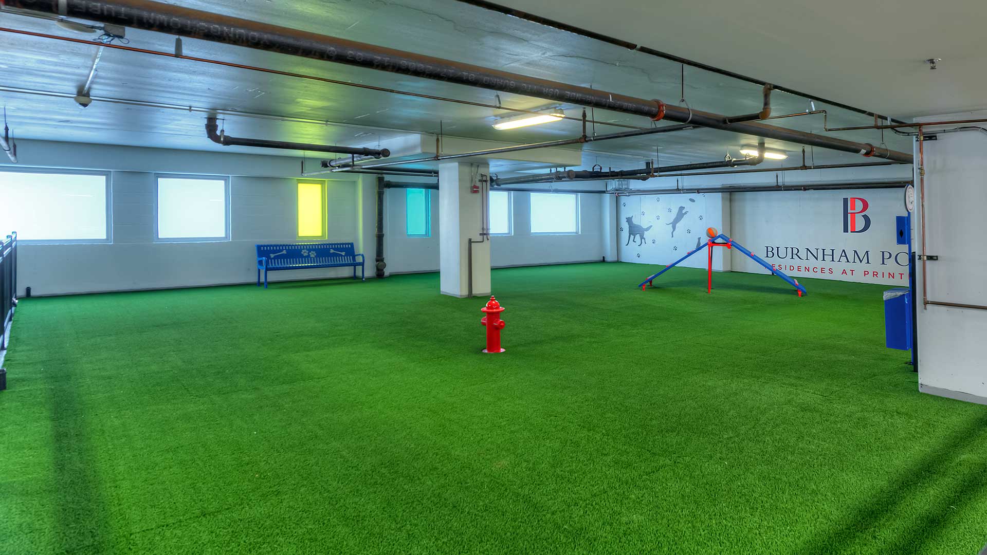 Looking across the green turf of the indoor dog park at Burnham Pointe. The area is wide open with a fire hydrant in the middle and a play ramp off to the right.