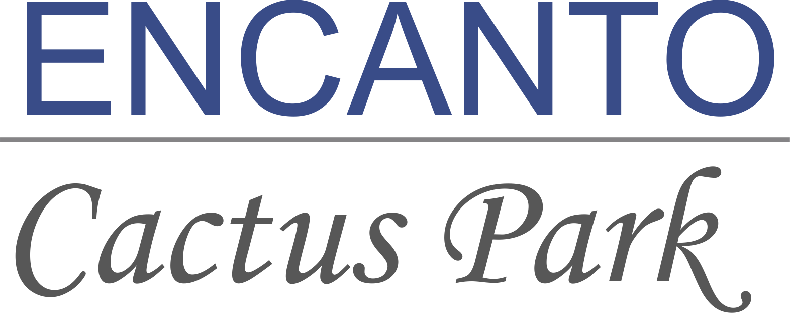 Encanto Cactus Park | Apartment and Community Amenities