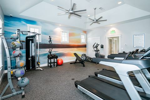 a gym with treadmills and weights and a wall mural of the beach