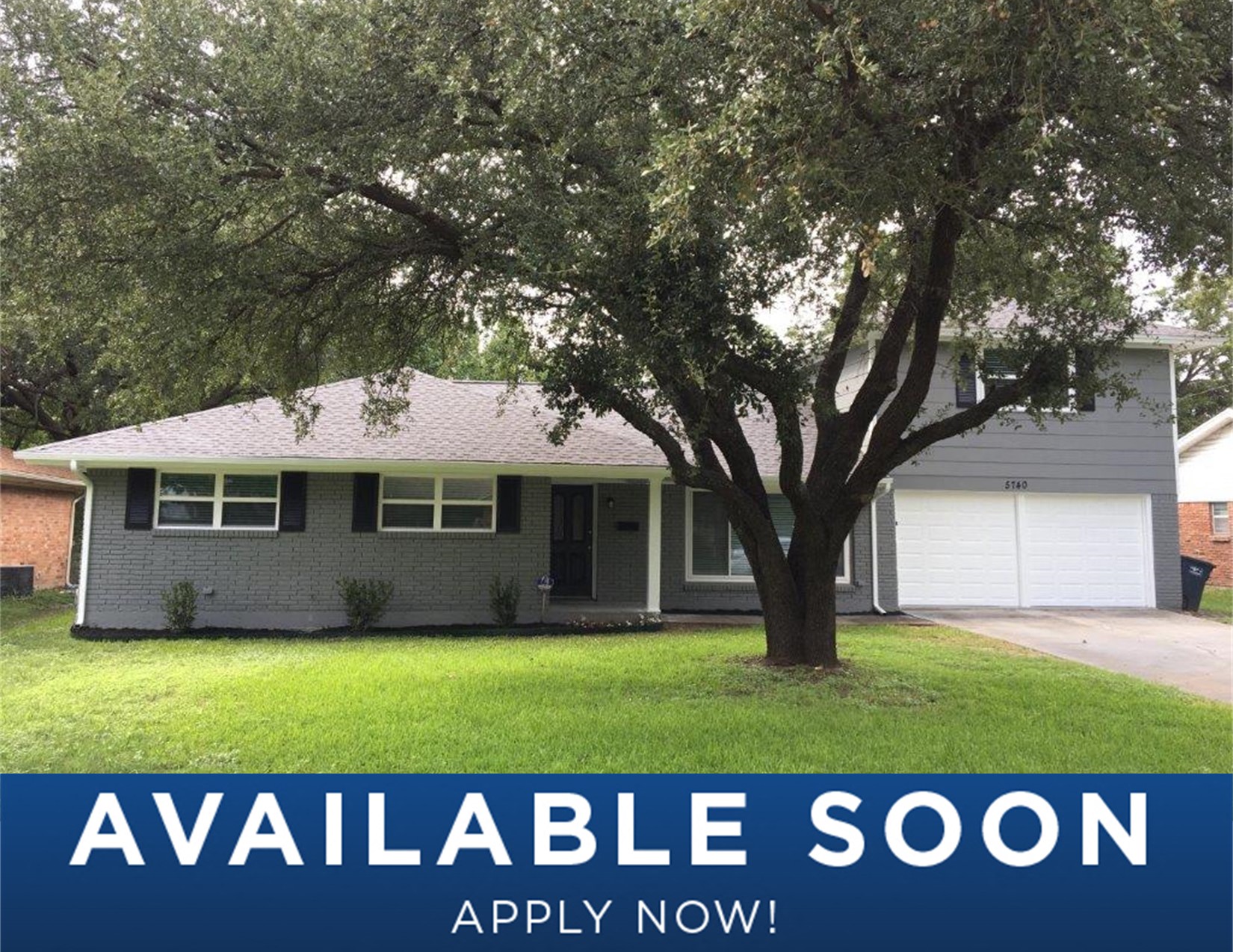 a home with a large tree in the yard