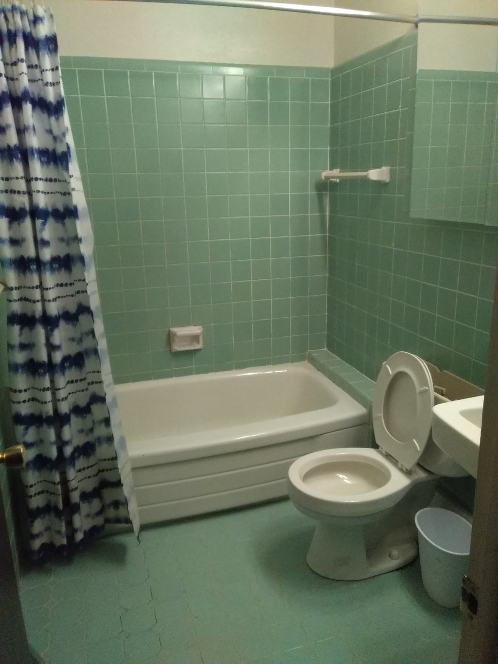 a bathroom with a toilet and a tub and a shower curtain