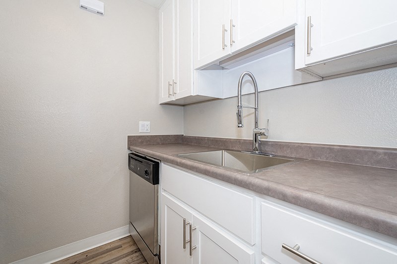 Kitchen sink and counters