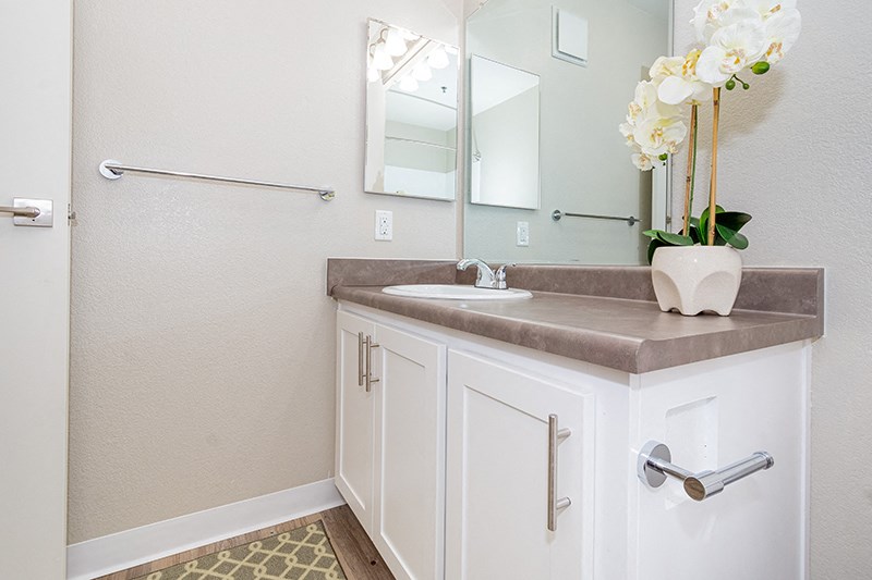 Bath sink and counter