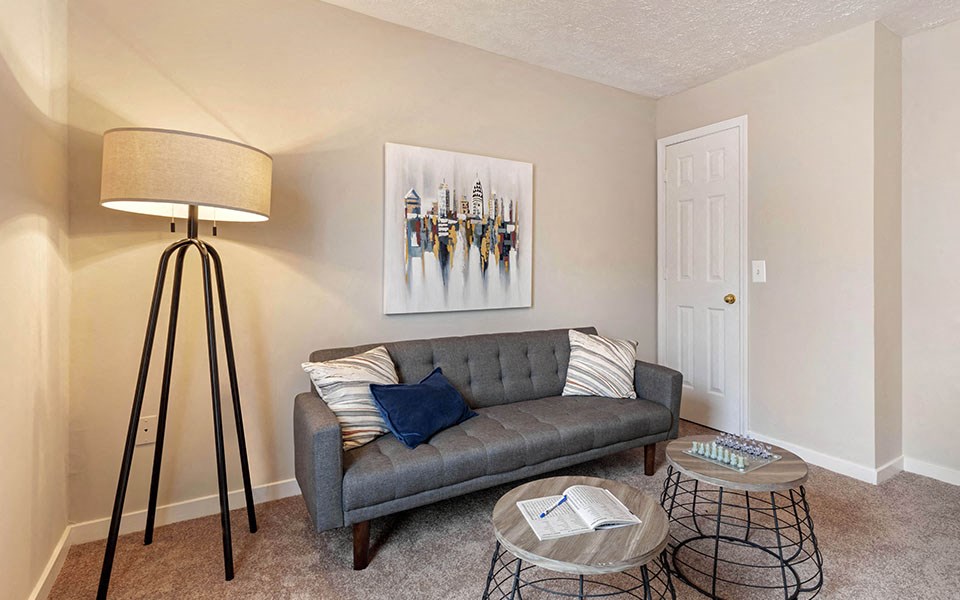Extra-Comfy Furnishings at Ridgeland Place Apartment Homes, Mississippi, 39157