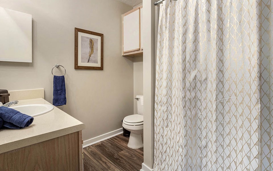 Spacious Bathrooms at Ridgeland Place Apartment Homes, Ridgeland, Mississippi
