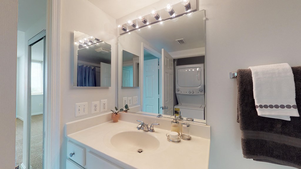 a bathroom with a sink and a large mirror