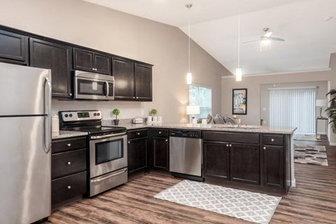 a kitchen with stainless steel appliances and black cabinets