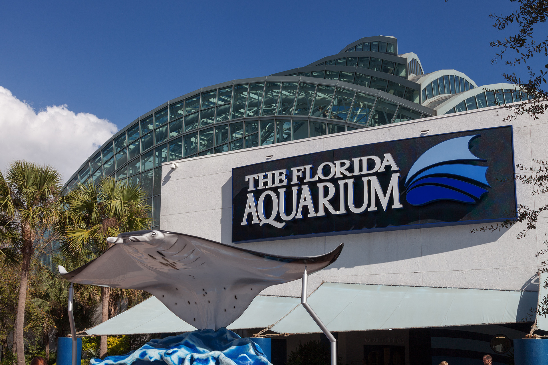 The Florida Aquarium is one of many attractions just steps from our community.