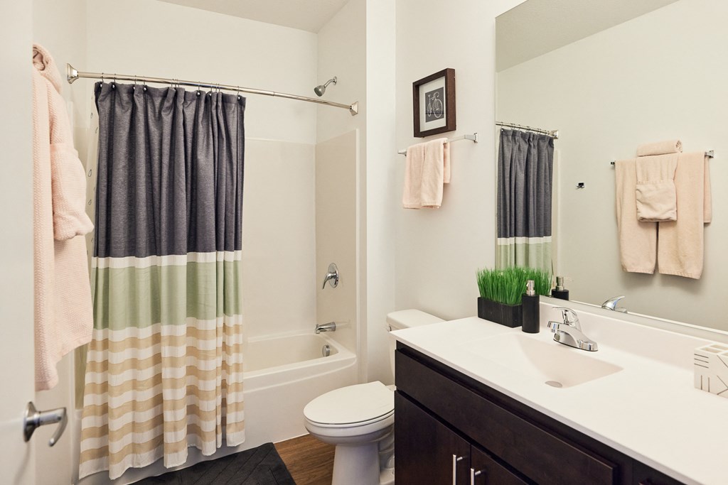 a bathroom with a sink toilet and tub and a shower