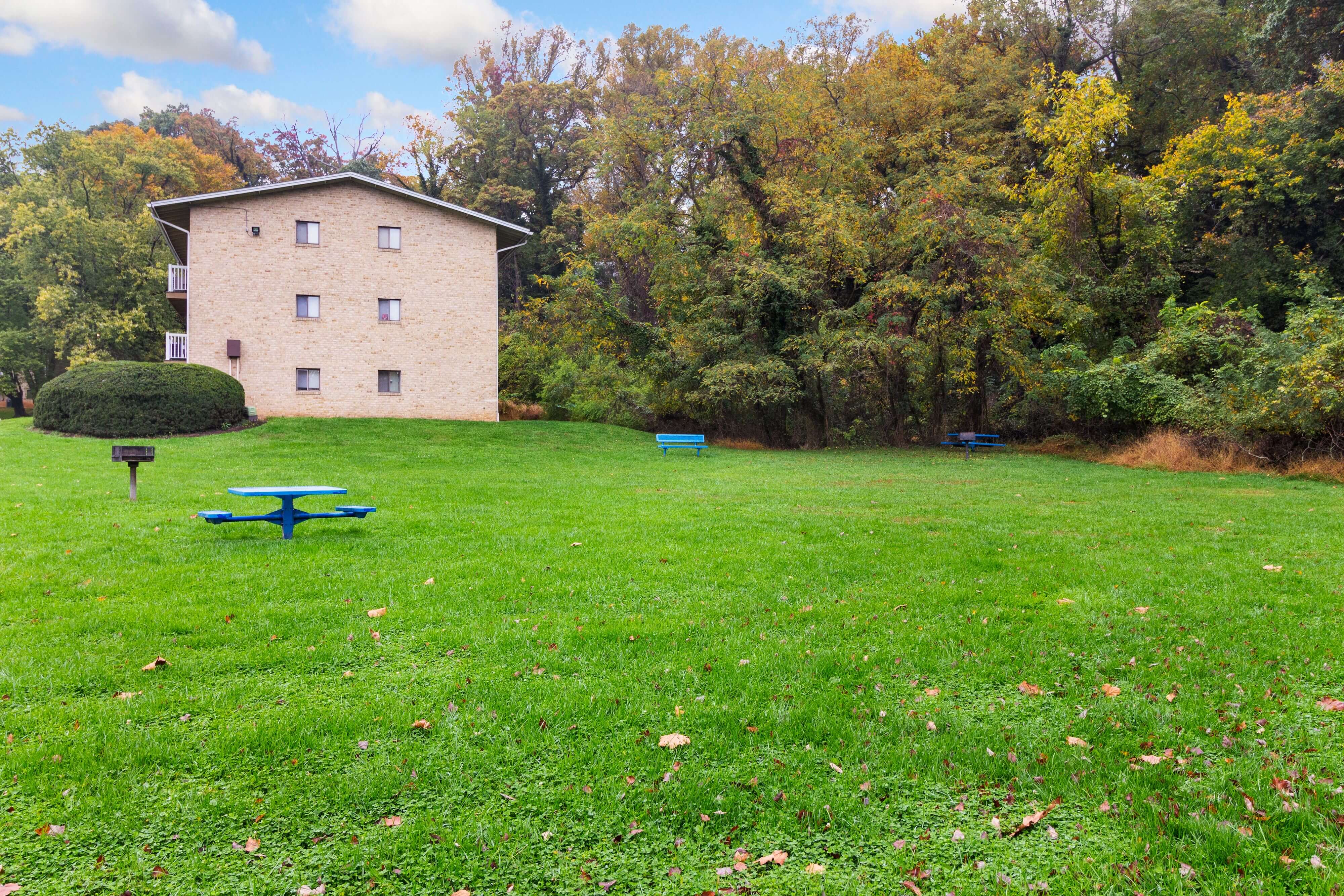 Picnic and grill area
