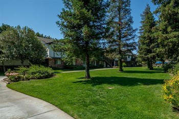 Lush Green Outdoor Spaces Lush Green Outdoor Spaces at Scottsmen Too Apartments, Clovis, California - Photo Gallery 4