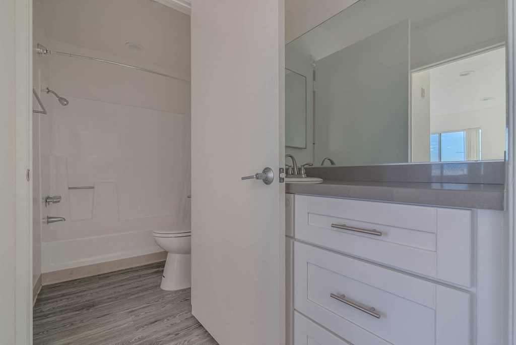 Bathroom Vanity and Bathtub