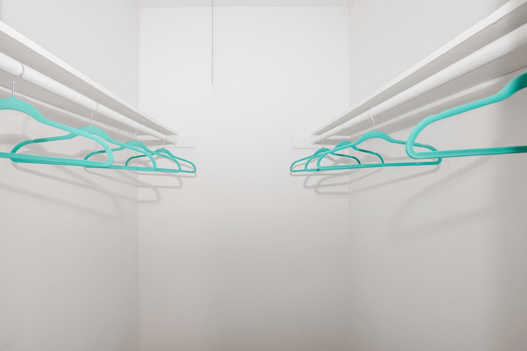 Large Closets  at The Quinn at Westchase in Houston, Houston, 77077