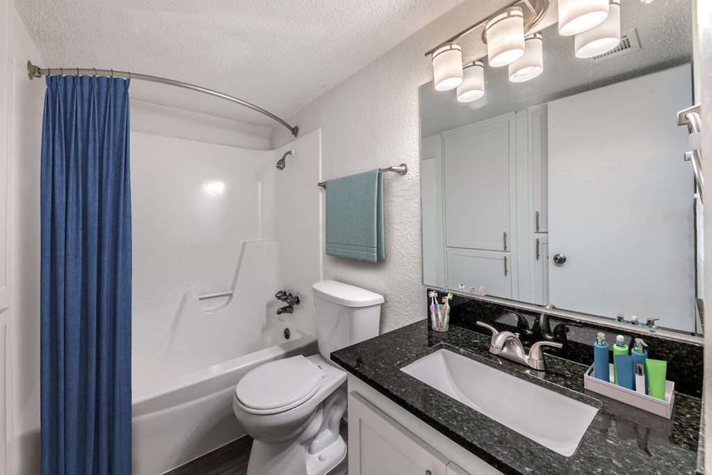 vanity at Alister Apartments, Austin