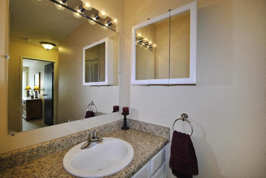 a bathroom with a sink and a mirror