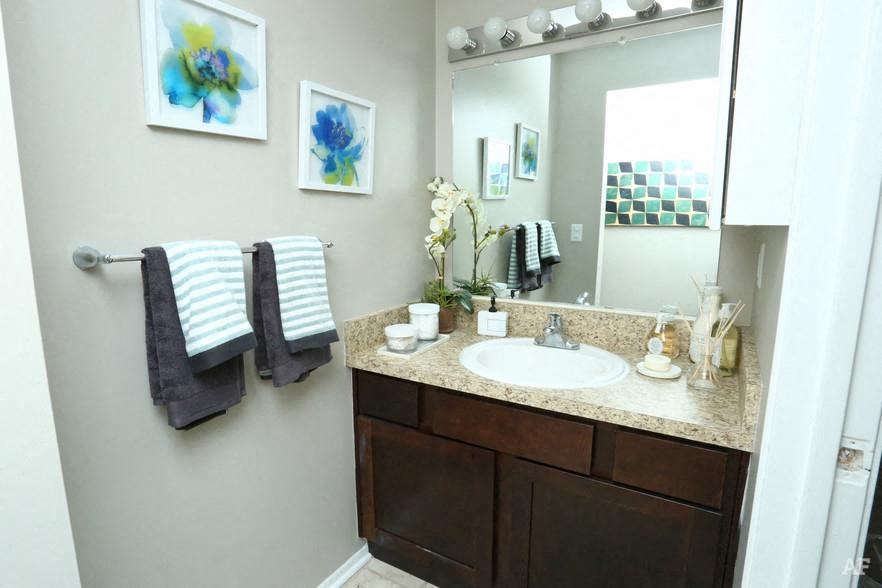 a bathroom with a sink and a mirror