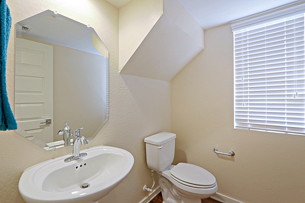 a bathroom with a sink and a toilet and a mirror