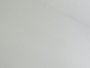 Large Bedrooms with Premium Carpet
