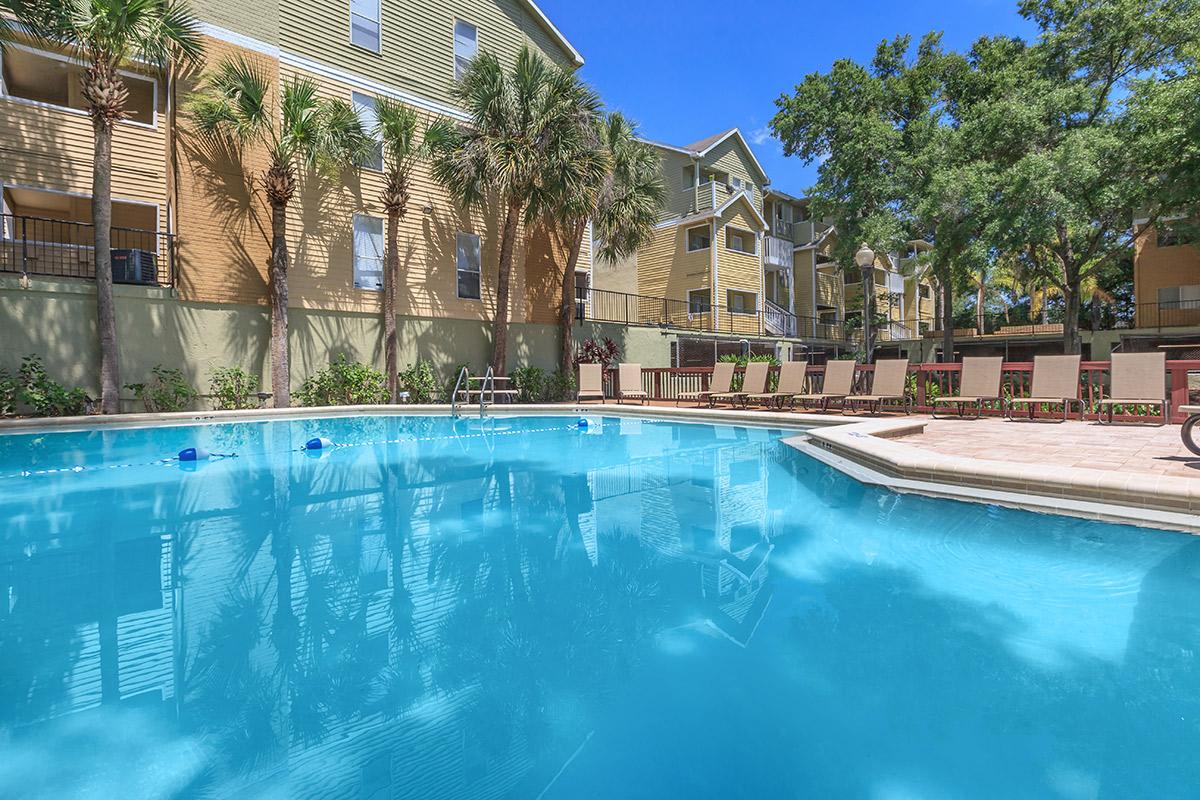 Buena Vista Apartments Apartments in Tampa, FL