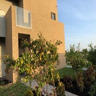 305 Palm Shores 1-2 Beds Apartment for Rent - Photo Gallery 5