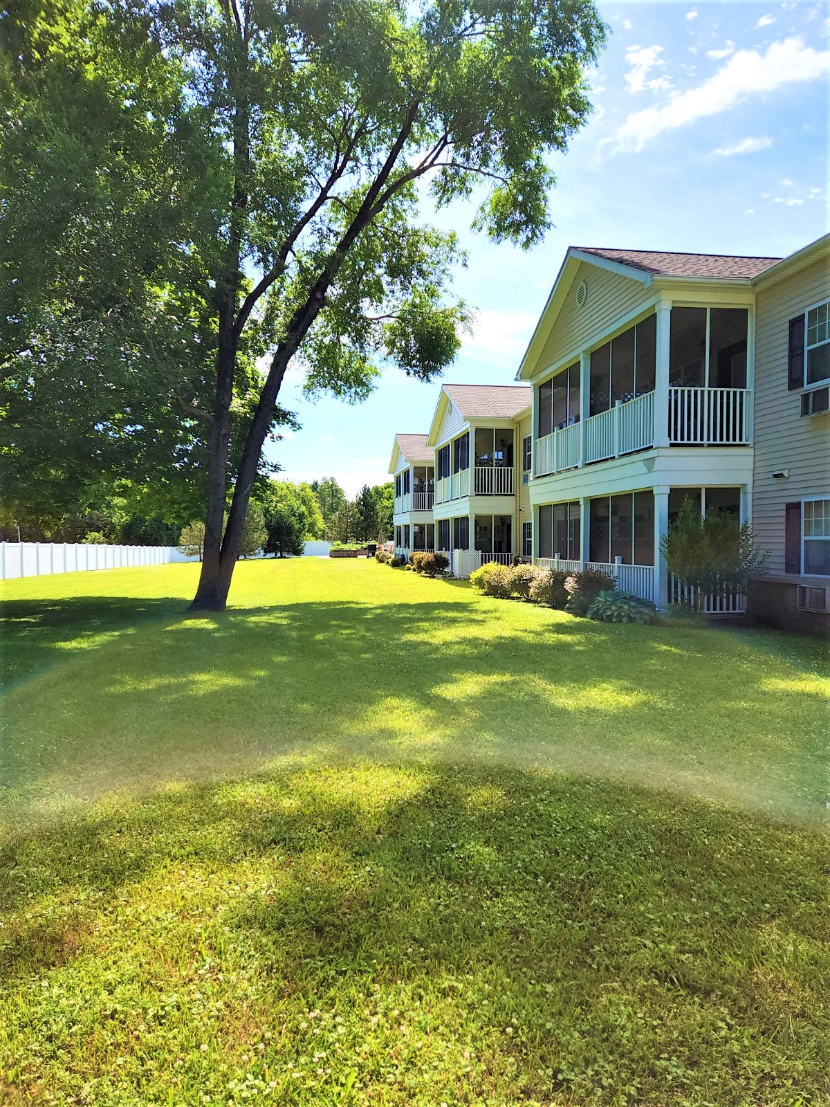 a large lawn in front of some houses