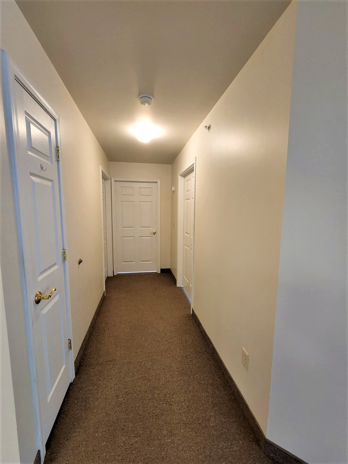 a hallway with a carpeted floor and white walls and doors