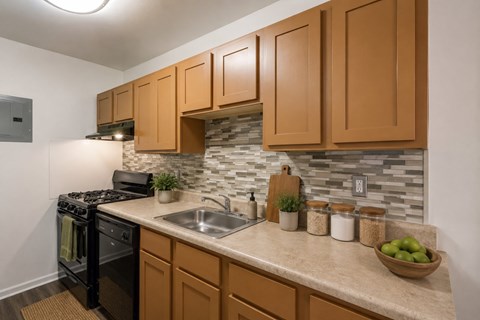 441 N Armistead Street 1-3 Beds Apartment for Rent
